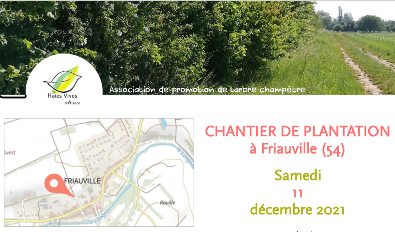 Chantier «plantations» le 11 décembre