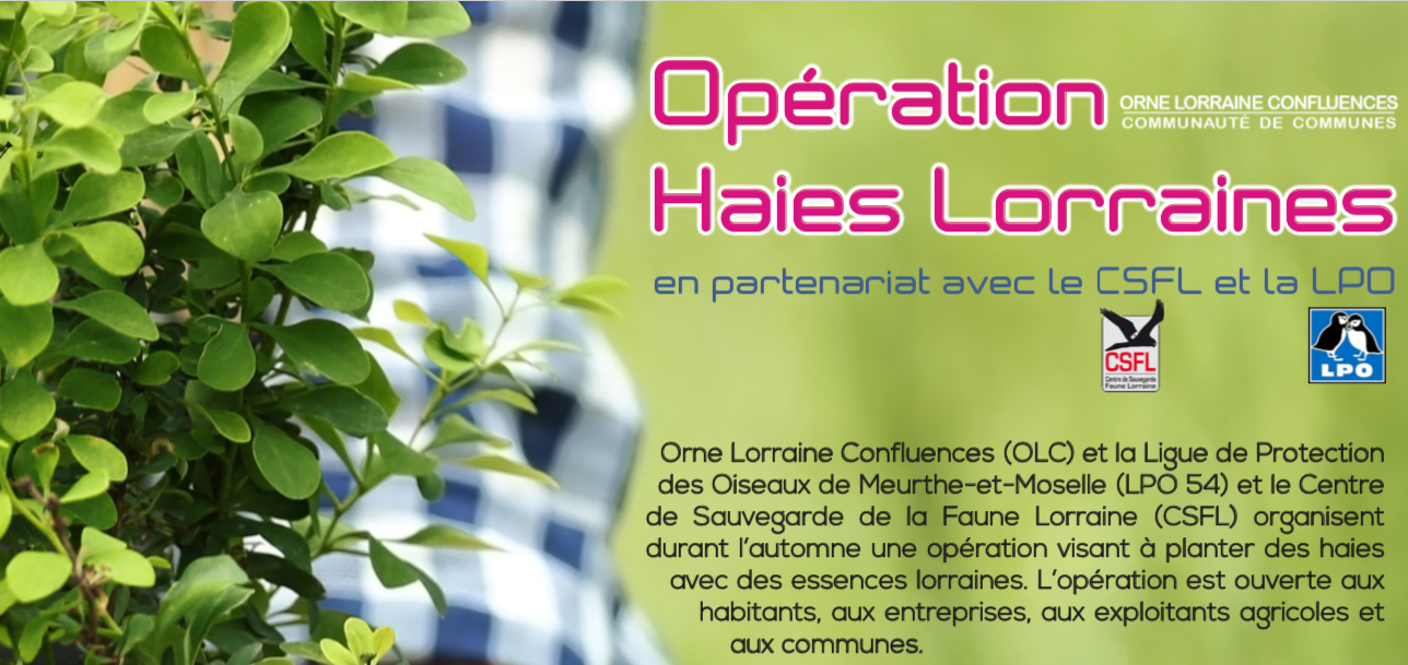 Opération Haies du 29/9 au 20/10/21
