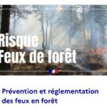 Risque incendie de forêt et de végétation