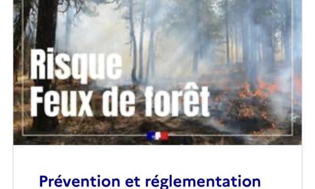 Risque incendie de forêt et de végétation