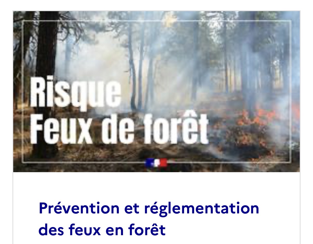 Risque incendie de forêt et de végétation