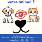 Comm’ fourrière animale du Joli bois