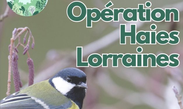 Opération haies lorraines Permanences avec ccOLC