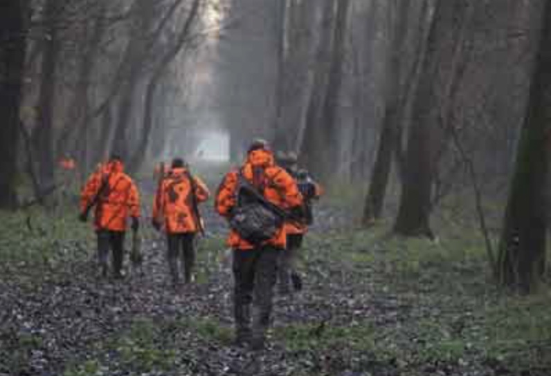 SAISON DE CHASSE 2024/2025