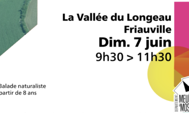 Découverte d&rsquo;un ENS : La vallée du Longeau à Friauville