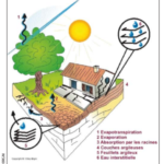 Reconnaissance d'état de catastrophe