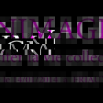 Assemblée Générale d'ANIMAGIK le 11/03/2022