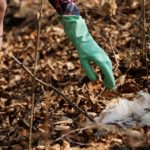 Grand Nettoyage d'Automne 19 oct 2019